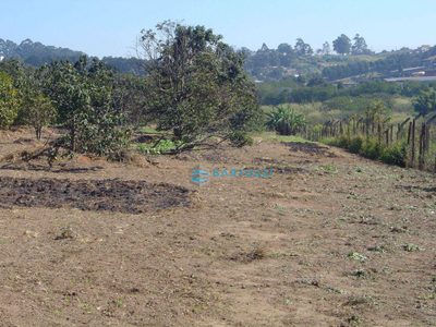 Terreno, 2 hectares - Foto 4