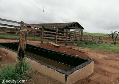 Fazenda, 1165 m² - Foto 4