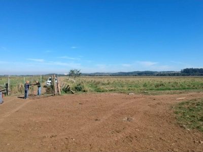 Fazenda, 446 hectares - Foto 5