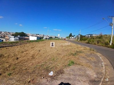 Terreno, 217 m² - Foto 5