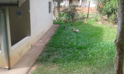 Chácara, 2 quartos, 100 m² - Foto 5