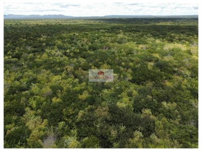 Fazenda, 600 m² - Foto 2