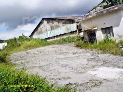 Depósito-Galpão, 2800 m² - Foto 3