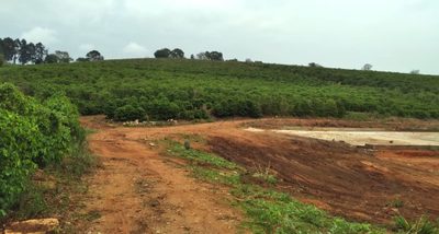 Chácara, 1 quarto, 14 hectares - Foto 4