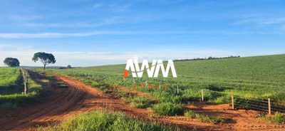 Fazenda, 1240 hectares - Foto 1