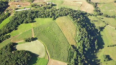 Loteamento e Condomínio, 12 hectares - Foto 2