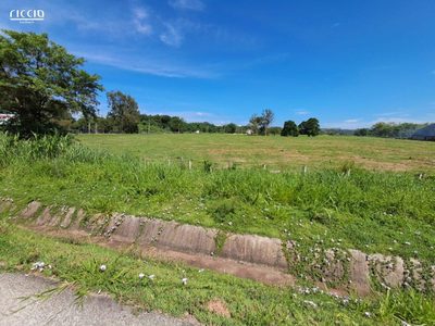 Terreno, 6 hectares - Foto 3
