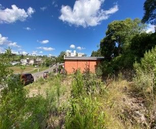 Terreno, 363 hectares - Foto 4
