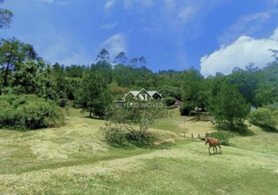 Sítio, 3 quartos, 3 hectares - Foto 4