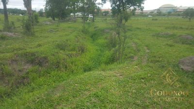 Terreno, 27 hectares - Foto 3