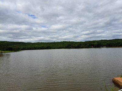 Chácara, 1 quarto, 180 hectares - Foto 4