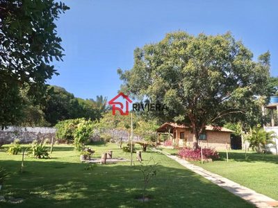 Terreno, 4551 m² - Foto 4