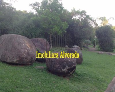 Casa, 3 quartos, 270 m² - Foto 4