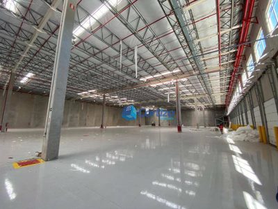 Depósito-Galpão, 1533 m² - Foto 5
