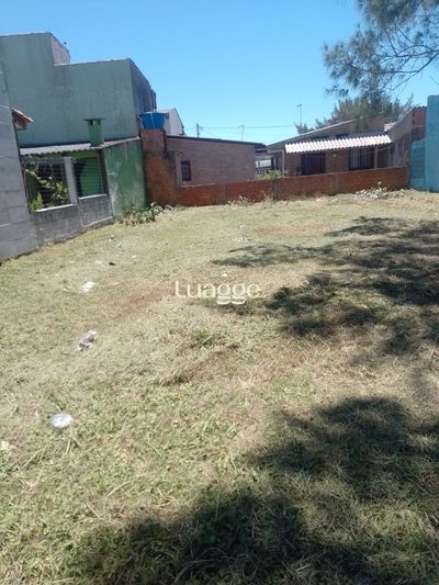 Terreno, 301 m² - Foto 3