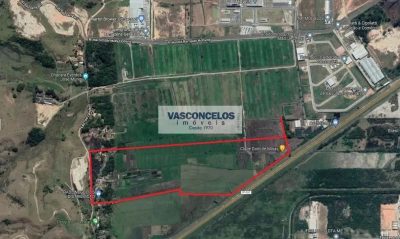Terreno, 42 hectares - Foto 1
