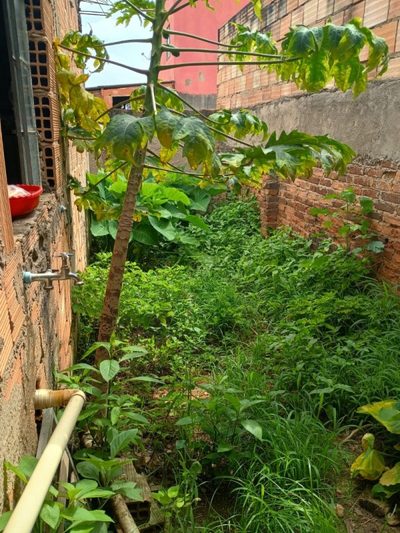 Casa, 2 quartos, 160 m² - Foto 2