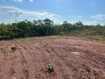 Terreno, 6 hectares - Foto 1