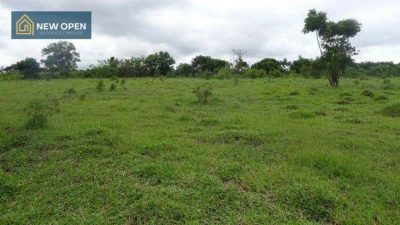Terreno, 1 hectares - Foto 3