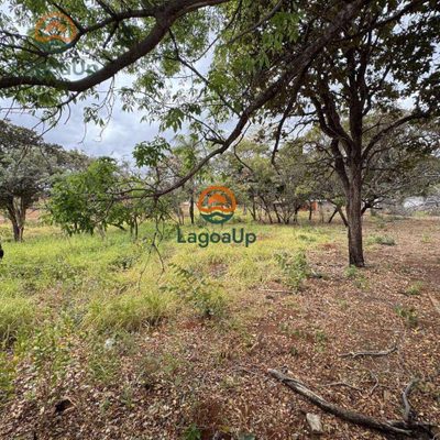 Terreno, 1000 m² - Foto 4