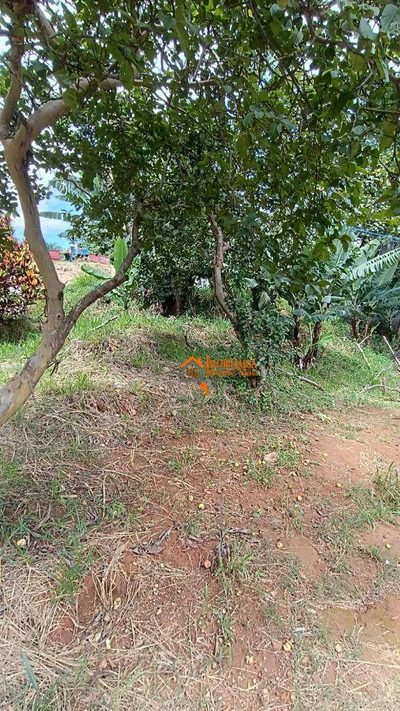 Terreno, 2100 m² - Foto 2