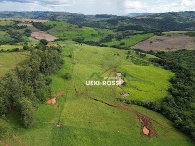 Fazenda, 242 hectares - Foto 3
