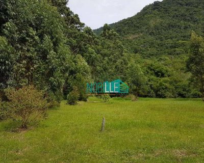 Terreno, 8 hectares - Foto 3
