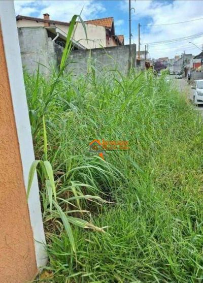 Terreno, 250 m² - Foto 4