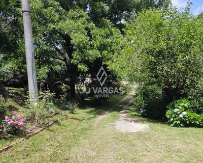 Sítio, 3 quartos, 5000 m² - Foto 3