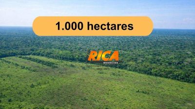Fazenda, 685 hectares - Foto 1