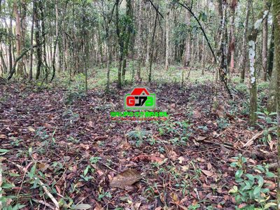 Terreno, 13 m² - Foto 4