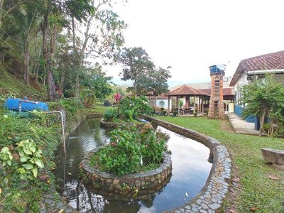Fazenda, 515 hectares - Foto 3