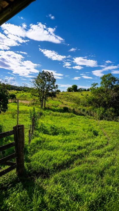 Fazenda, 38 m² - Foto 4