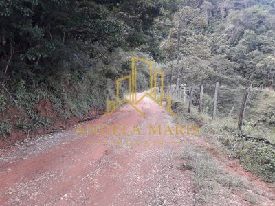Sítio, 4 quartos, 17 hectares - Foto 4