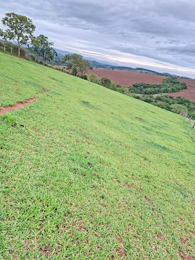 Sítio, 1 quarto, 8 hectares - Foto 3