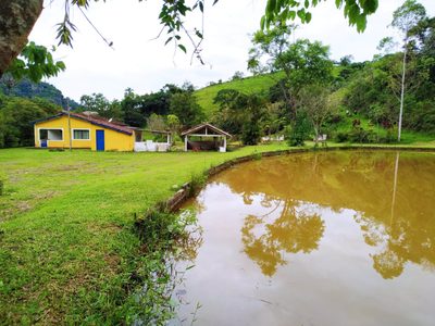 Fazenda, 128 hectares - Foto 2