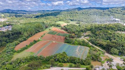 Terreno, 2 hectares - Foto 2