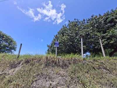 Terreno - Foto 2