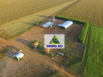 Fazenda, 4600 hectares - Foto 1