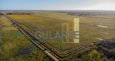 Fazenda, 1123 hectares - Foto 3