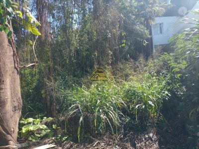 Terreno, 1000 m² - Foto 4