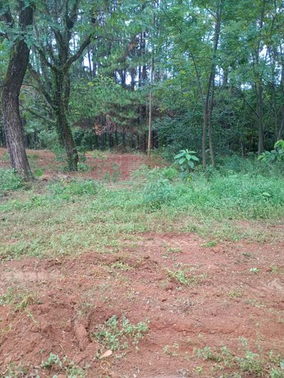 Loteamento e Condomínio, 5500 m² - Foto 4