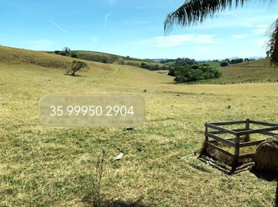 Chácara, 1 quarto, 15 hectares - Foto 2