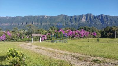 Terreno, 3 hectares - Foto 3