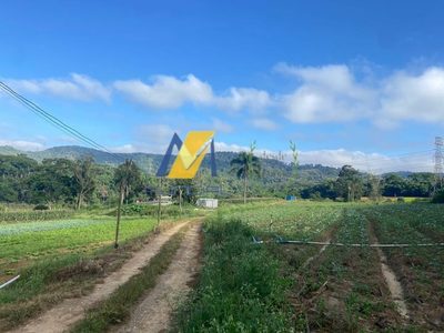 Terreno, 19 hectares - Foto 3