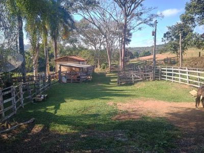 Terreno - Foto 2