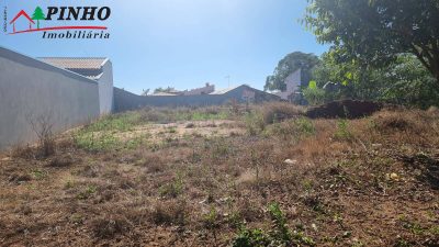 Terreno, 325 hectares - Foto 1