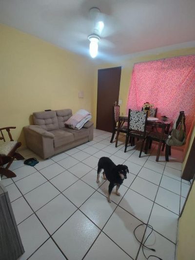 Apartamento, 2 quartos, 55 m² - Foto 5