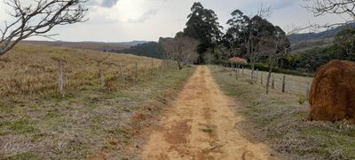 Fazenda, 10000 m² - Foto 2