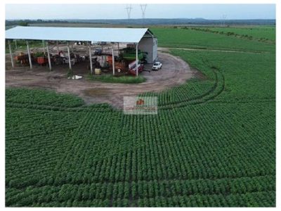 Fazenda, 2200 m² - Foto 5